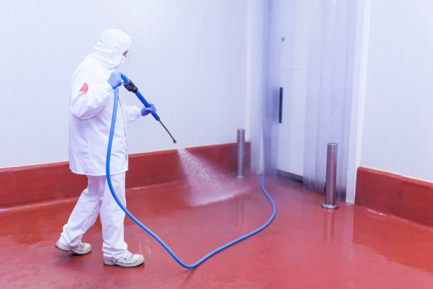 Best Playground Equipment Cleaning  in Brooklyn, NY
